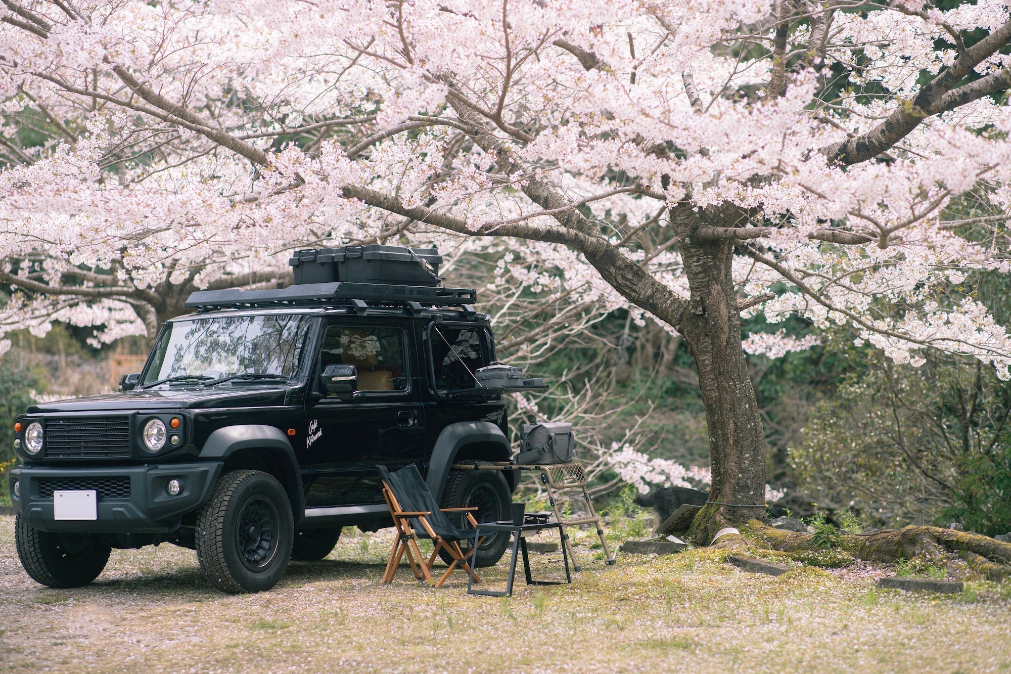 2025年桜を求めてデイキャンプ