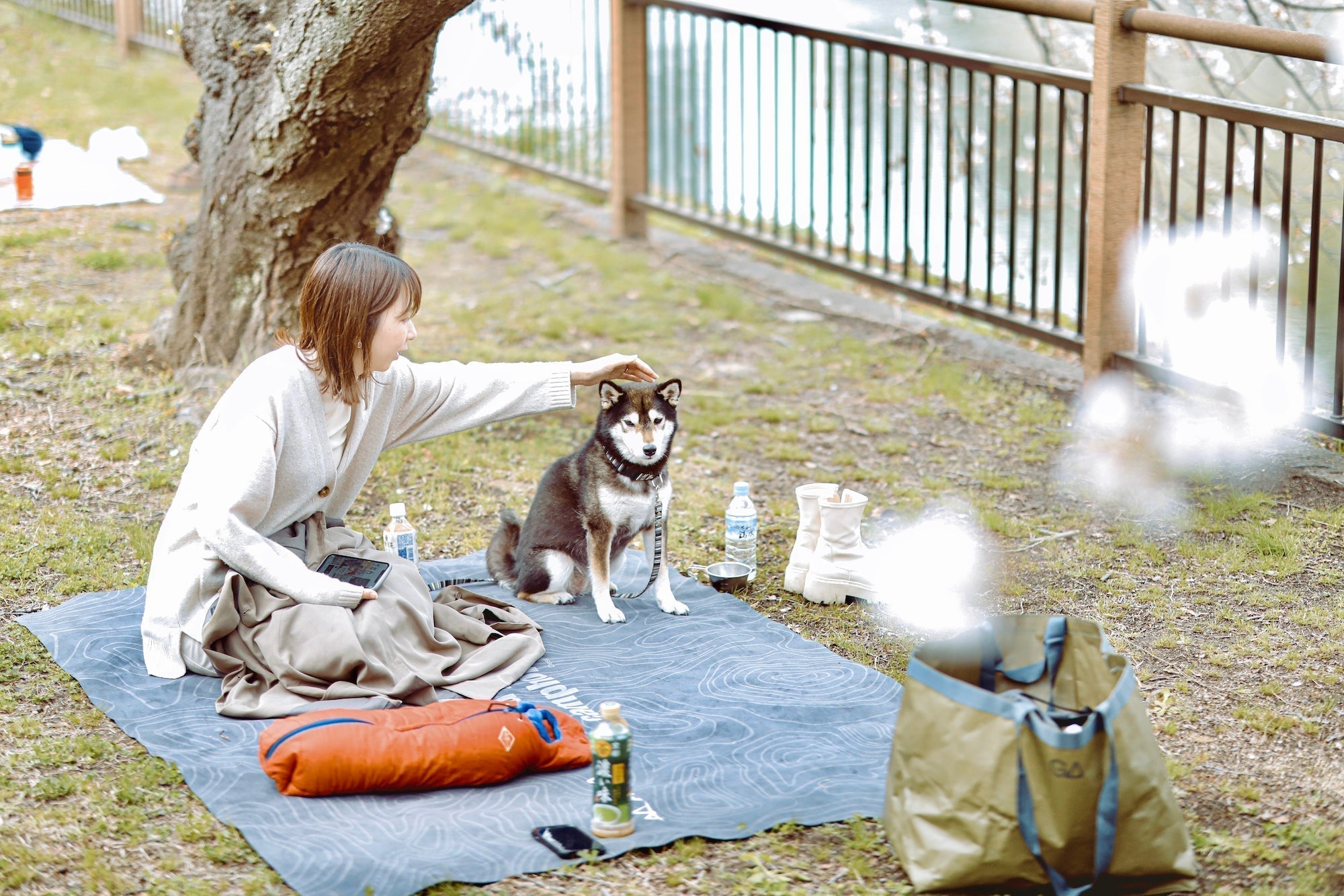 桜の満開間近、ANOBAが提案するお花見。