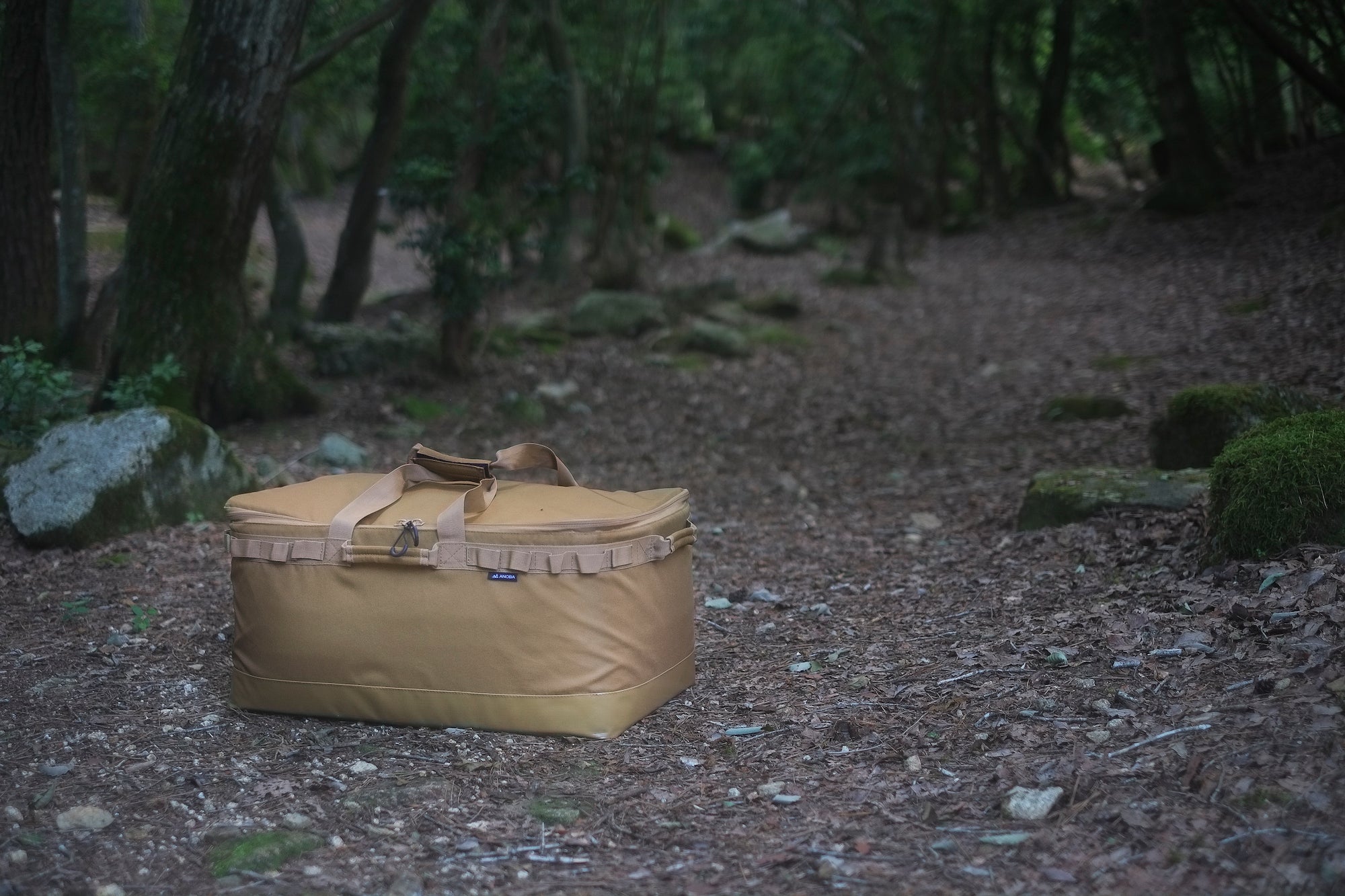 ANOBAxTARPtoTARP exclusive color デビュー