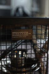 フォールディングワイヤーバスケット M　ANOBA x Orange Limited Edition  ※お一人様1点まで