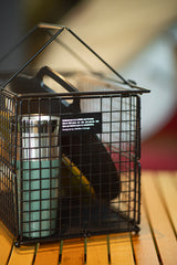 フォールディングワイヤーバスケット M　ANOBA x Orange Limited Edition  ※お一人様1点まで